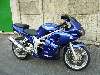 513 photo