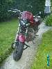 483 photo