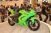 1237 photo